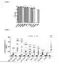 Fig. 02 - Dengue virus vaccine composition