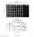 Fig. 07 - METHODS AND COMPOSITIONS RELATING TO TREATMENT OF CANCER