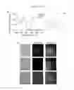 Fig. 02 - Photoactivated molecules for light-induced modulation of the activity of electrically excitable cells and methods of using same