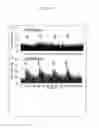 Fig. 23 - Photoactivated molecules for light-induced modulation of the activity of electrically excitable cells and methods of using same