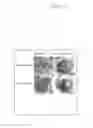 Fig. 25 - Photoactivated molecules for light-induced modulation of the activity of electrically excitable cells and methods of using same