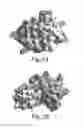 Fig. 03 - LIGANDS THAT TARGET HCV-E2 BINDING SITES ON CD81 AND THERAPEUTIC METHODS USING THEM