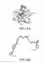 Fig. 09 - LIGANDS THAT TARGET HCV-E2 BINDING SITES ON CD81 AND THERAPEUTIC METHODS USING THEM