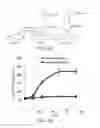Fig. 07 - Conjugates of a polymer, a bisphosphonate and an anti-angiogenesis agent and uses thereof in the treatment and monitoring of bone related diseases