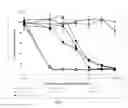 Fig. 08 - Conjugates of a polymer, a bisphosphonate and an anti-angiogenesis agent and uses thereof in the treatment and monitoring of bone related diseases