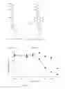 Fig. 09 - Conjugates of a polymer, a bisphosphonate and an anti-angiogenesis agent and uses thereof in the treatment and monitoring of bone related diseases