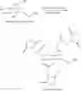 Fig. 114 - Compositions comprising a polymeric reagent and a pharmacologically active agent