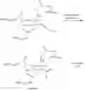 Fig. 116 - Compositions comprising a polymeric reagent and a pharmacologically active agent