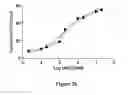 Fig. 32 - Molecular containers and methods of making and using same