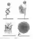 Fig. 04 - Methods and compositions for altering photophysical properties of fluorophores via proximal quenching