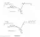 Fig. 41 - Methods and compositions for altering photophysical properties of fluorophores via proximal quenching