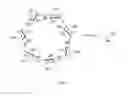 Fig. 02 - Tricarbocyanine-cyclodextrin(s) conjugates and use thereof