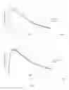 Fig. 06 - Tricarbocyanine-cyclodextrin(s) conjugates and use thereof
