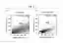 Fig. 09 - CONTRAST MEDIUM, METHOD AND KIT FOR PREPARING SAME
