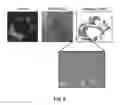 Fig. 06 - Multimodal particles, methods and uses thereof