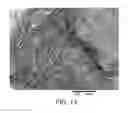 Fig. 09 - FIBROUS MATERIALS AND COMPOSITES