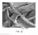 Fig. 10 - FIBROUS MATERIALS AND COMPOSITES