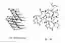 Fig. 03 - WOUND PROTECTING POLYMERS