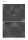 Fig. 02 - Cellular seeding and co-culture of a three dimensional fibroblast construct