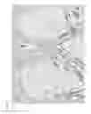 Fig. 10 - Cellular seeding and co-culture of a three dimensional fibroblast construct