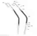 Fig. 01 - Cannula assembly