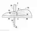 Fig. 01 - Pivoting joint infusion system with seal