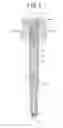 Fig. 06 - Quantitative syringe-type ejector