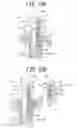 Fig. 16 - Quantitative syringe-type ejector