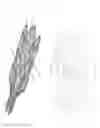 Fig. 28 - Catheter apparatus with telescoping lumen catheters and its use in methods for treating vasculatures