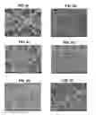 Fig. 03 - Microstructure-based drug delivery system comprising microporous structure