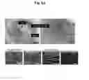 Fig. 09 - Microstructure-based drug delivery system comprising microporous structure