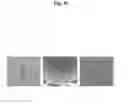 Fig. 11 - Microstructure-based drug delivery system comprising microporous structure