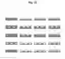 Fig. 22 - Microstructure-based drug delivery system comprising microporous structure