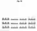 Fig. 26 - Microstructure-based drug delivery system comprising microporous structure