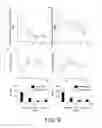 Fig. 07 - Enhancement of Sensory Sensitivity by Transcranial Alternating Current Stimulation