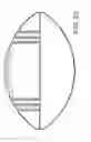 Fig. 23 - Game ball