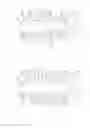 Fig. 07 - FILTER ELEMENT STRUCTURE AND BACKWASH TYPE FILTER INCLUDING THE SAME FILTER ELEMENT STRUCTURE