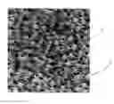 Fig. 01 - Microporous membrane and manufacturing process therefor
