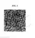 Fig. 02 - Microporous membrane and manufacturing process therefor