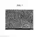 Fig. 08 - Microporous membrane and manufacturing process therefor