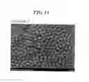Fig. 14 - Microporous membrane and manufacturing process therefor