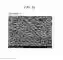 Fig. 17 - Microporous membrane and manufacturing process therefor