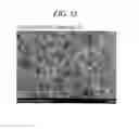 Fig. 23 - Microporous membrane and manufacturing process therefor