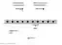 Fig. 13 - SURFACE MEDIATED SYNTHESIS OF POLYNUCLEOTIDES, POLYPEPTIDES AND POLYSACCHARIDES AND RELATED MATERIALS, METHODS AND SYSTEMS