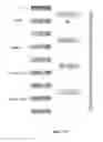 Fig. 25 - SURFACE MEDIATED SYNTHESIS OF POLYNUCLEOTIDES, POLYPEPTIDES AND POLYSACCHARIDES AND RELATED MATERIALS, METHODS AND SYSTEMS