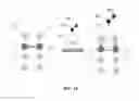 Fig. 31 - SURFACE MEDIATED SYNTHESIS OF POLYNUCLEOTIDES, POLYPEPTIDES AND POLYSACCHARIDES AND RELATED MATERIALS, METHODS AND SYSTEMS