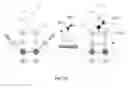 Fig. 32 - SURFACE MEDIATED SYNTHESIS OF POLYNUCLEOTIDES, POLYPEPTIDES AND POLYSACCHARIDES AND RELATED MATERIALS, METHODS AND SYSTEMS