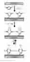 Fig. 01 - METHOD OF CAPTURING HEAVY METALS BY A CHEMICALLY FUNCTIONALIZED SURFACE