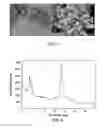 Fig. 03 - Synthesis of ZSM-5