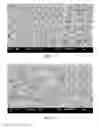 Fig. 02 - Electrospinning solution, polyvinyl alcohol nanofibers and ion-exchange membrane